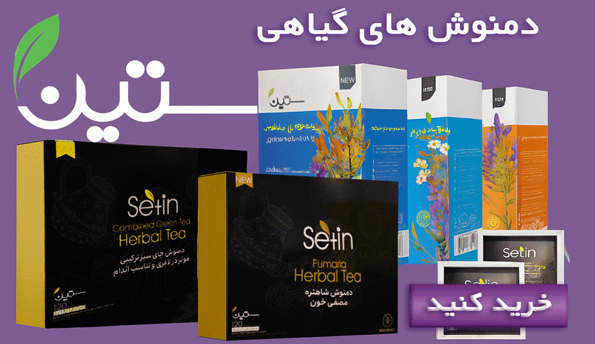 ستین 3 e1760378676844